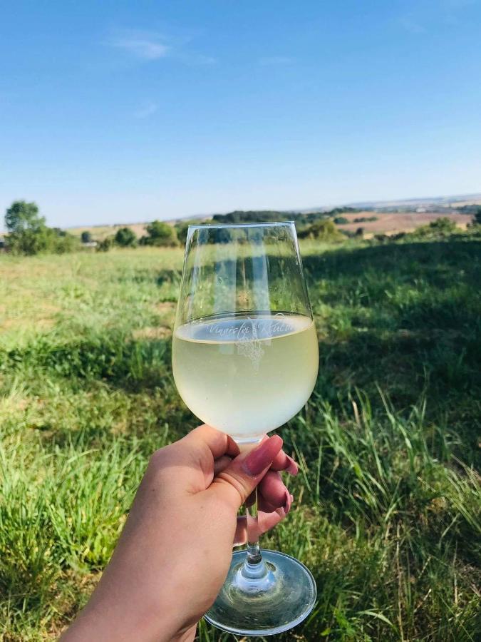 Apartmány Vinařství Klučov Lstibor Exteriér fotografie