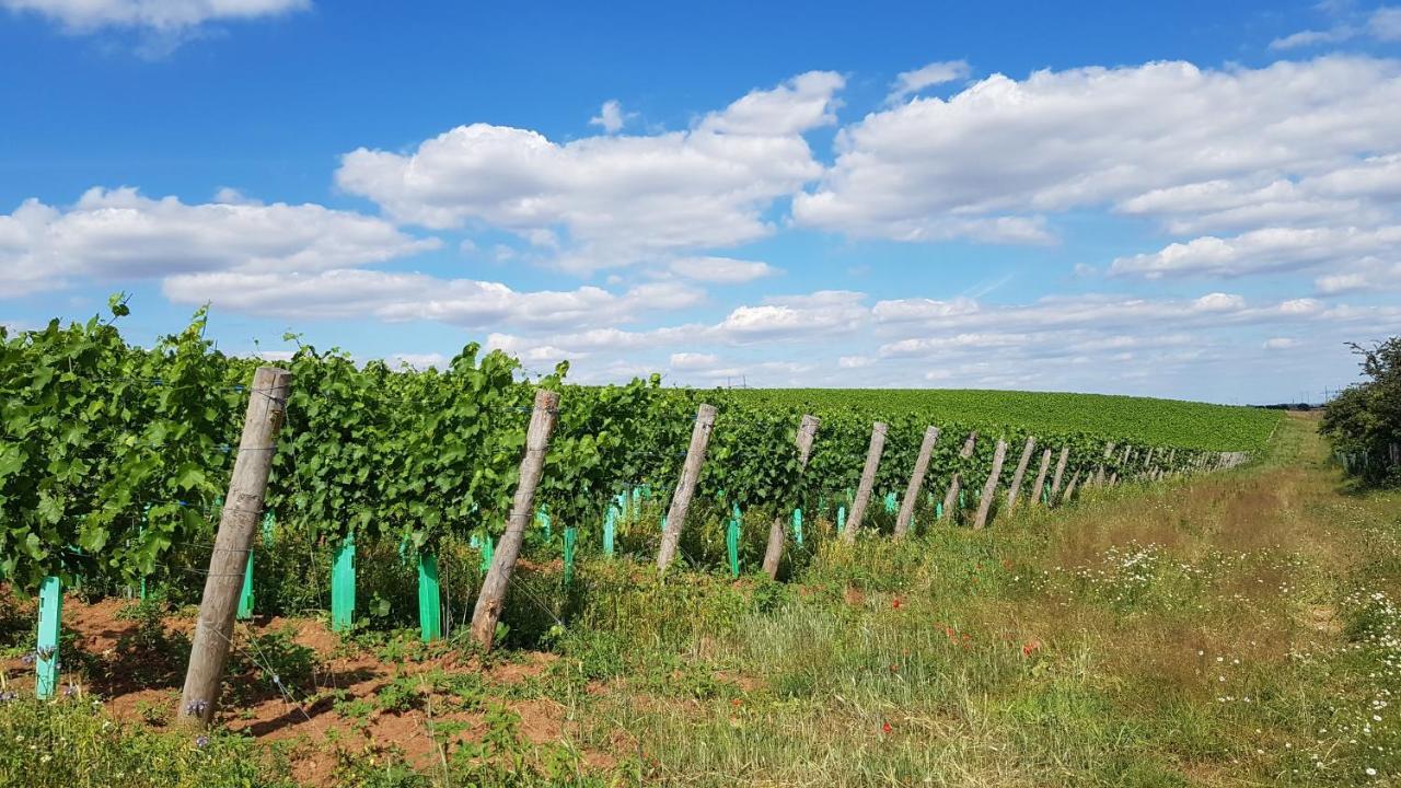 Apartmány Vinařství Klučov Lstibor Exteriér fotografie